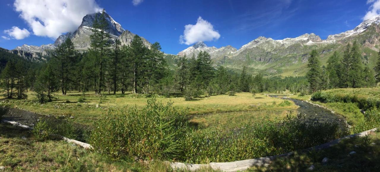 B&B Chalet Il Picchio Varzo Bagian luar foto